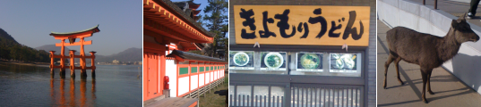 左から厳島神社の海の真ん中に立つ鳥居・白壁に朱塗りの柱が並ぶ厳島神社の内殿・きよもりうどんの看板・厳島神社の境内にいた鹿。