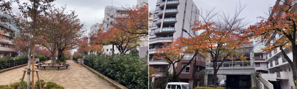 �d��������؂̍g�t�ʐ^(2��)�B