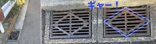 ���H�e�̑��a�̃t�^�A�悭����Ɛ����ɕ��s�ɓn���ꂽ����̃��C���Ɏ΂߂̃��C���������āu�M���[�I�v���l�s�̕H�`�}�[�N�ɂȂ��Ă���B