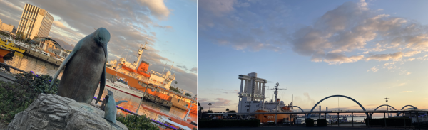 ���F���E�ő�ƍŏ��y���M���̑��B�E�F���Ă䂭��ƁA��Ɋϑ��D�B