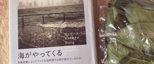 �S�̂Ă���𐅖v�����A�͂邩�ޕ��̖��V�O�܂ŊC���Z�����ʐ^���t�B�[�`���[�����w�C������Ă���x���e�B