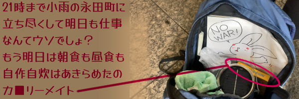 リュックに入れたウサギプラカとソネングラス・そして「21時まで小雨の永田町に立ち尽くして明日も仕事なんてウソでしょ?もう明日は朝食も昼食も自作自炊はあきらめた」のカロリーメイト。